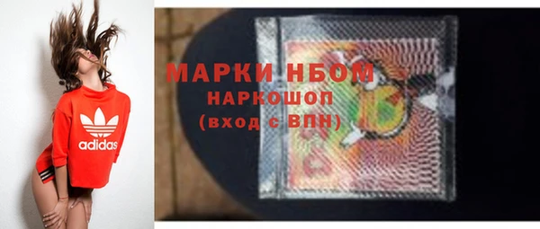 метадон Няндома