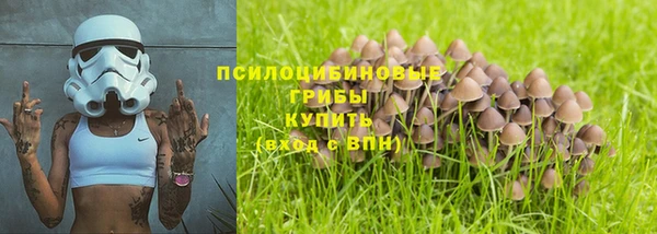 мяу мяу мука Абдулино