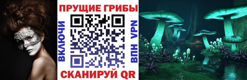 Галлюциногенные грибы Magic Shrooms закладки Алдан